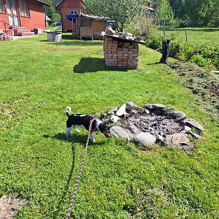 U Ztraceneho Potoka Vernířovice