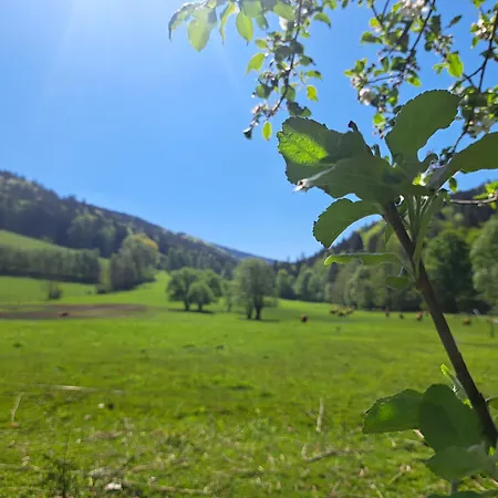 Séjour à la campagne U Ztraceneho Potoka