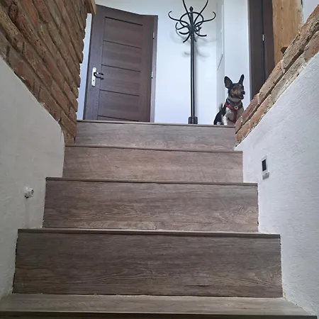 U Ztraceneho Potoka *